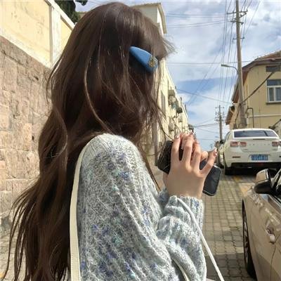 海豚的故事2